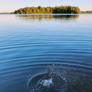Meet your Posher, Brook